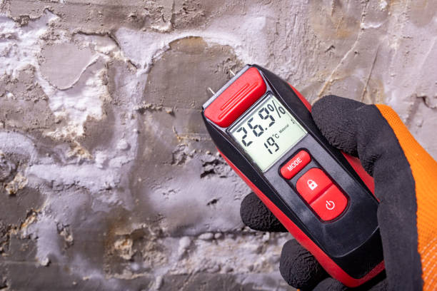 Best Kitchen Mold Remediation in Moose Wilson Road, WY